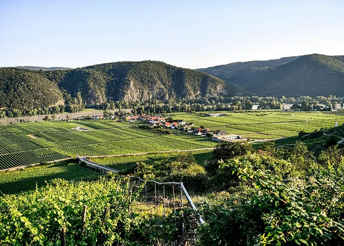 Winzerhof Moertinger